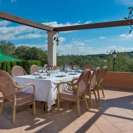 Villa El Palmeral