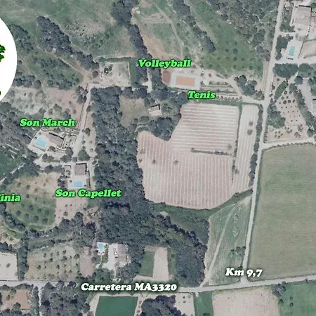 El Palmeral *